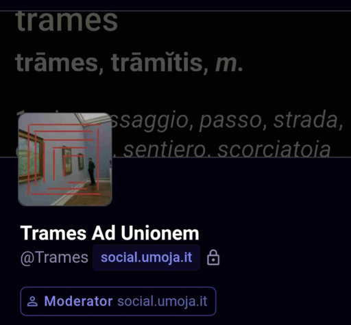 Il profilo del mio account in Umoja in cui è specificato «Moderator social.umoja.it».