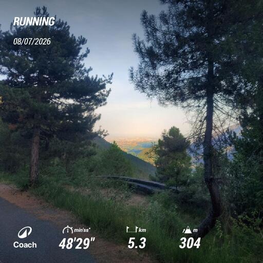 Al centro della scena, sullo sfondo, la città illuminata di rosa dalla luce del tramonto. In primo piano due pini incorniciano il fianco della montagna che scende a valle. La natura è verde e rigogliosa. Nella parte bassa, le statistiche del mio allenamento.