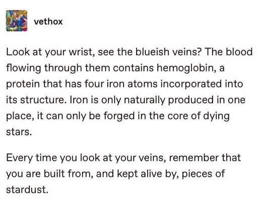A tumblr post by @vethox.  Look at your wrist, see the blueish veins? The blood flowing through them contains hemoglobin, a protein that has four iron atoms incorporated into its structure. Iron is only naturally produced in one place, it can only be forged in the core of dying stars.   Every time you look at your veins, remember that you are built from, and kept alive by, pieces of stardust.