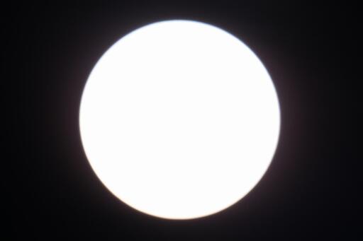 Sole