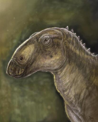 Kryptohadros kallaiae vagava sul nostro pianeta durante il Maastrichtiano, nel periodo Cretaceo, circa 70 milioni di anni fa.

Questo dinosauro era un tipo di adrosauroide, un gruppo di ornitischi erbivori che includeva i famosi dinosauri dal becco d'anatra e i loro stretti parenti.

L'esemplare olotipo della specie è stato rinvenuto nel sito di vertebrati di Fantanele-3, vicino al villaggio di Valioara nel Bacino di Hateg, in Romania, in depositi continentali della Formazione Densus-Ciula.