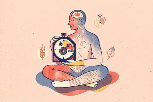 Abbiamo creduto a lungo che invecchiare fosse come arrugginire: guasti casuali, senza un piano. Due studi su Science e Nature mostrano il contrario: il processo segue fasi precise che cominciano prima dei trent'anni. Stanford aggiunge che cellule immunitarie del sangue entrano nel cervello dalla mezza età e diventano microglia.