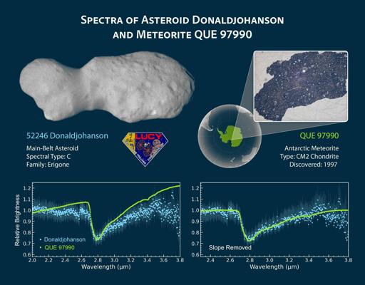 L’asteroide Donaldjohanson è composto da due lobi fortemente craterizzati, collegati da una regione centrale più liscia, con dimensioni complessive di 8,8 km × 4,4 km × 3,1 km.